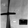 gene_aubes_nasa_image_rotor3a.png.jpg