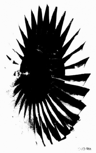 gene_aubes_nasa_image_rotor52.png
