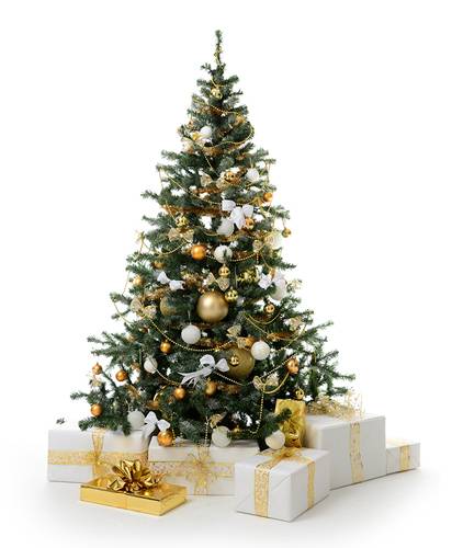 sapin.jpg